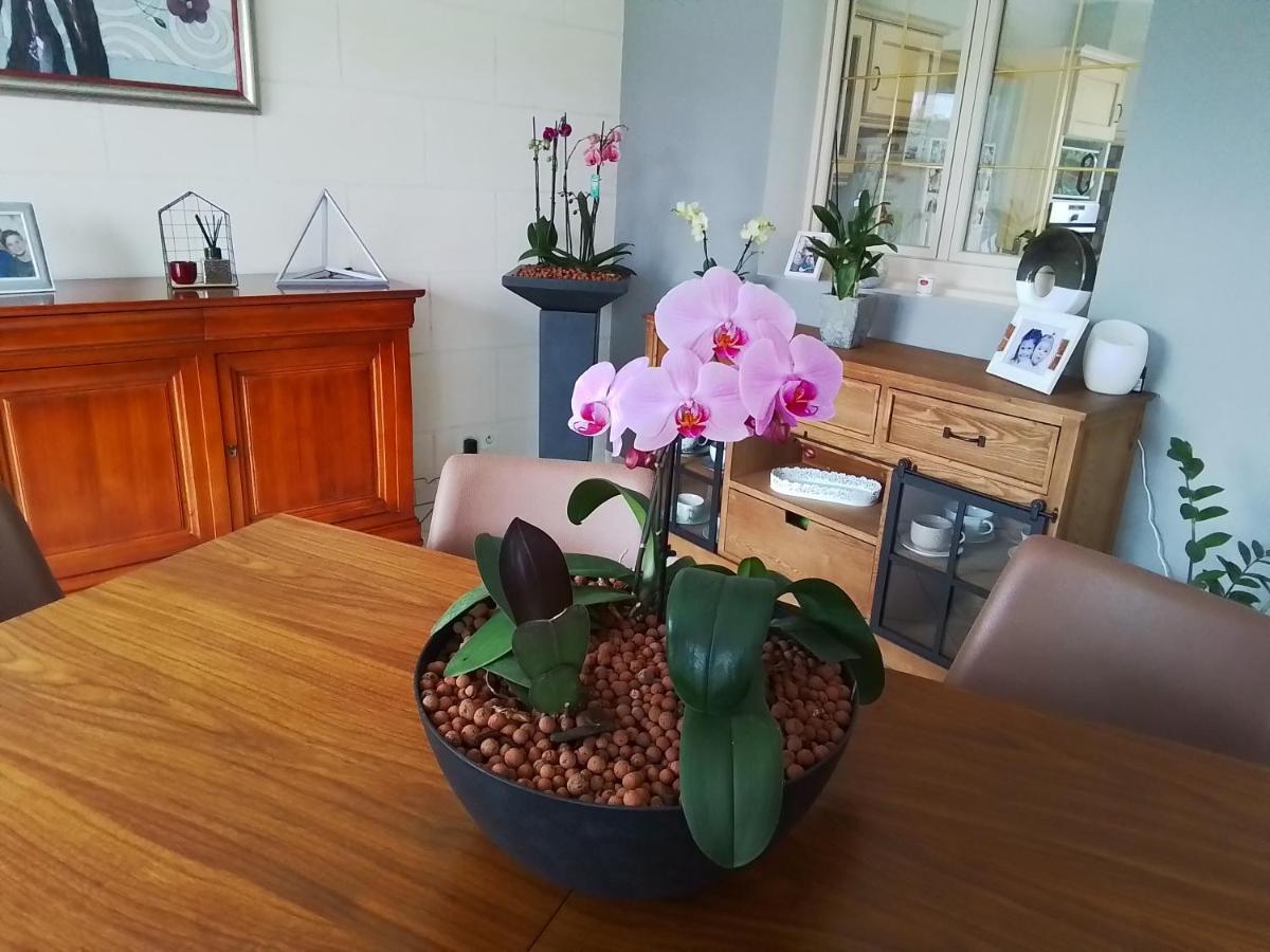 Au Détour Des Orchidées Séjour chez l'habitant