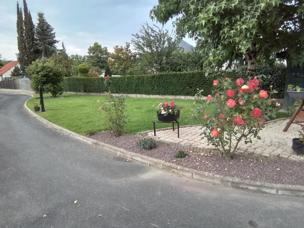 Au Détour Des Orchidées *